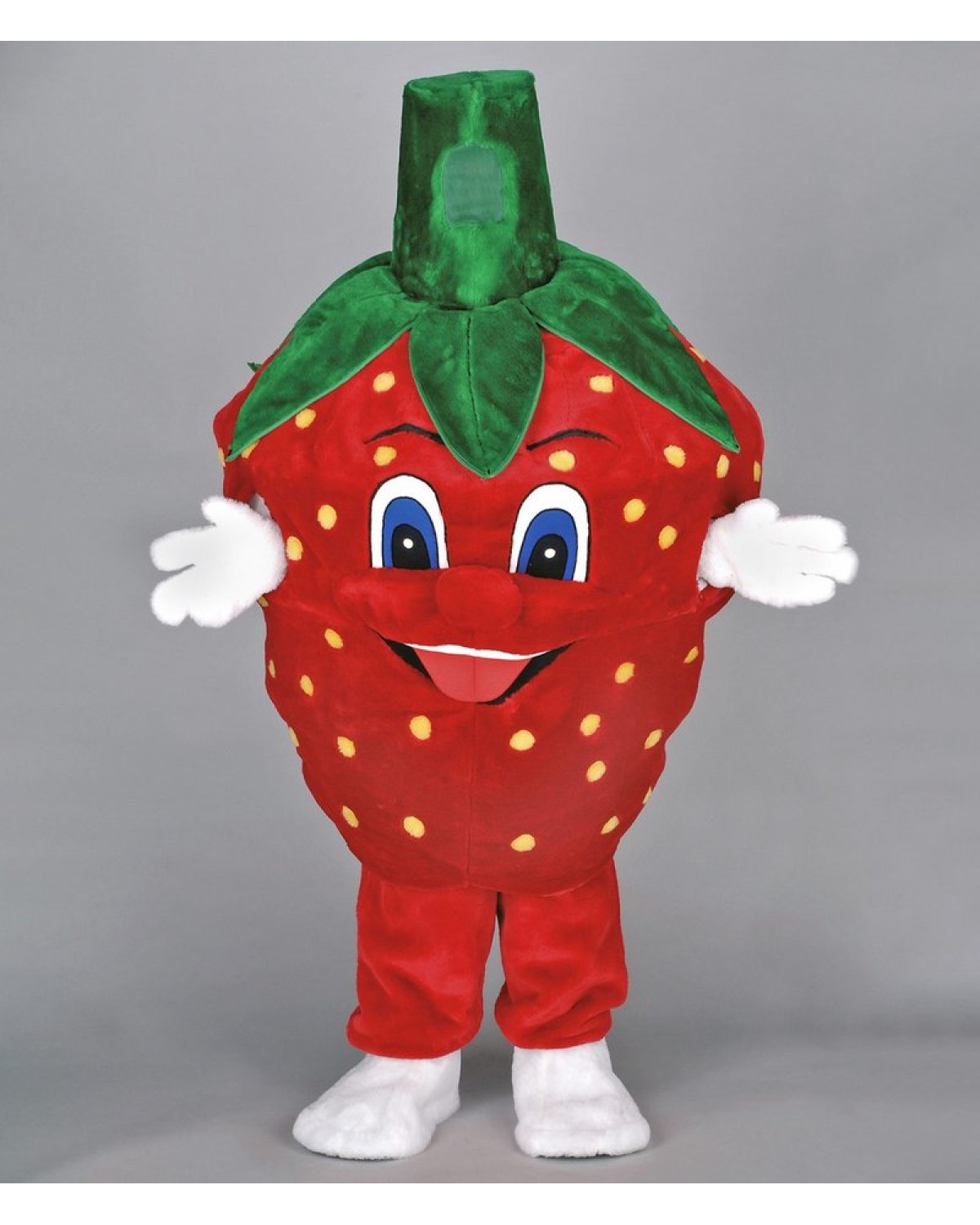 Strawberry Mascot Costume