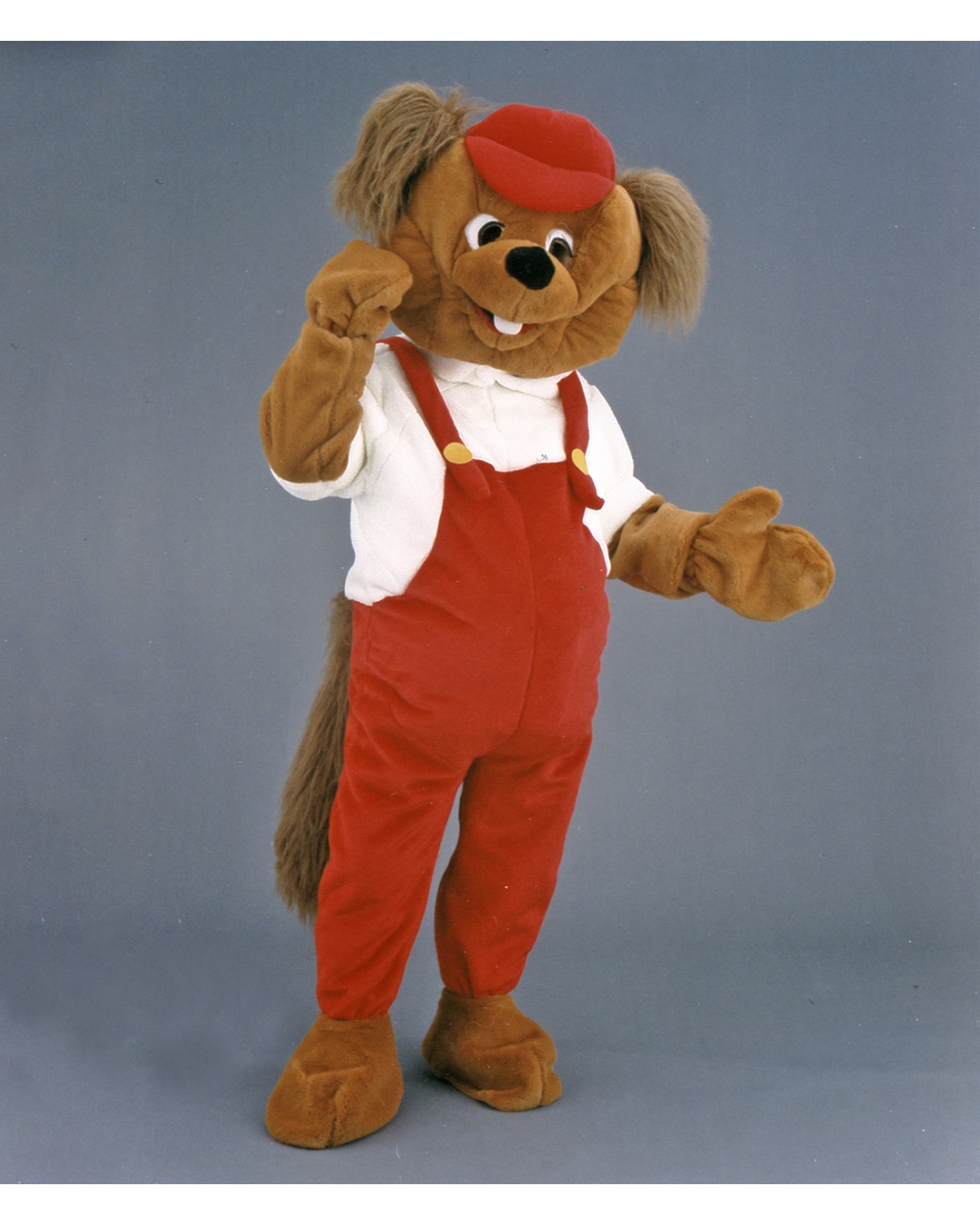Dougie Dog Mascot Costume