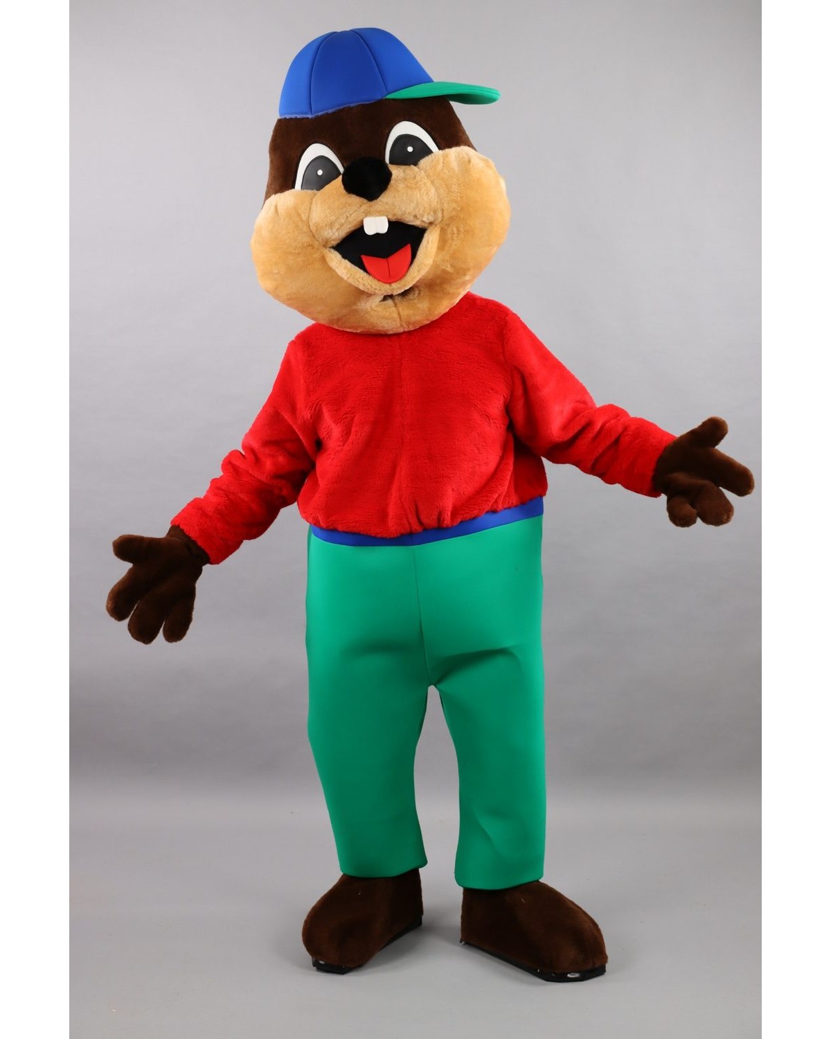 Beaver Mascot Costume