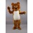 Teddy Bear Mascot costume