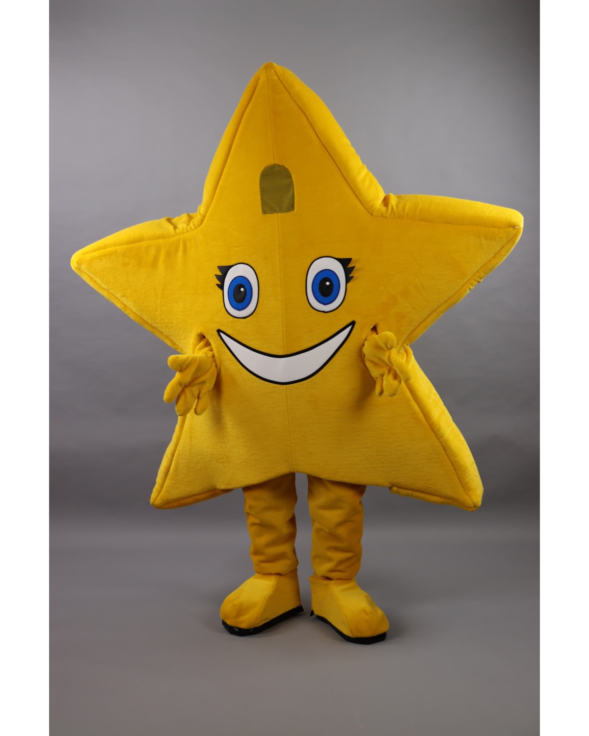 Yellow Star  Mascot Costume
