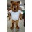 Teddy Bear Mascot costume