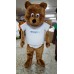 Teddy Bear Mascot costume