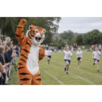 Lion & Tiger Mascot Costumes: Which Big Cat Is Right for You?