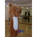 Pink Teddy Mascot costume