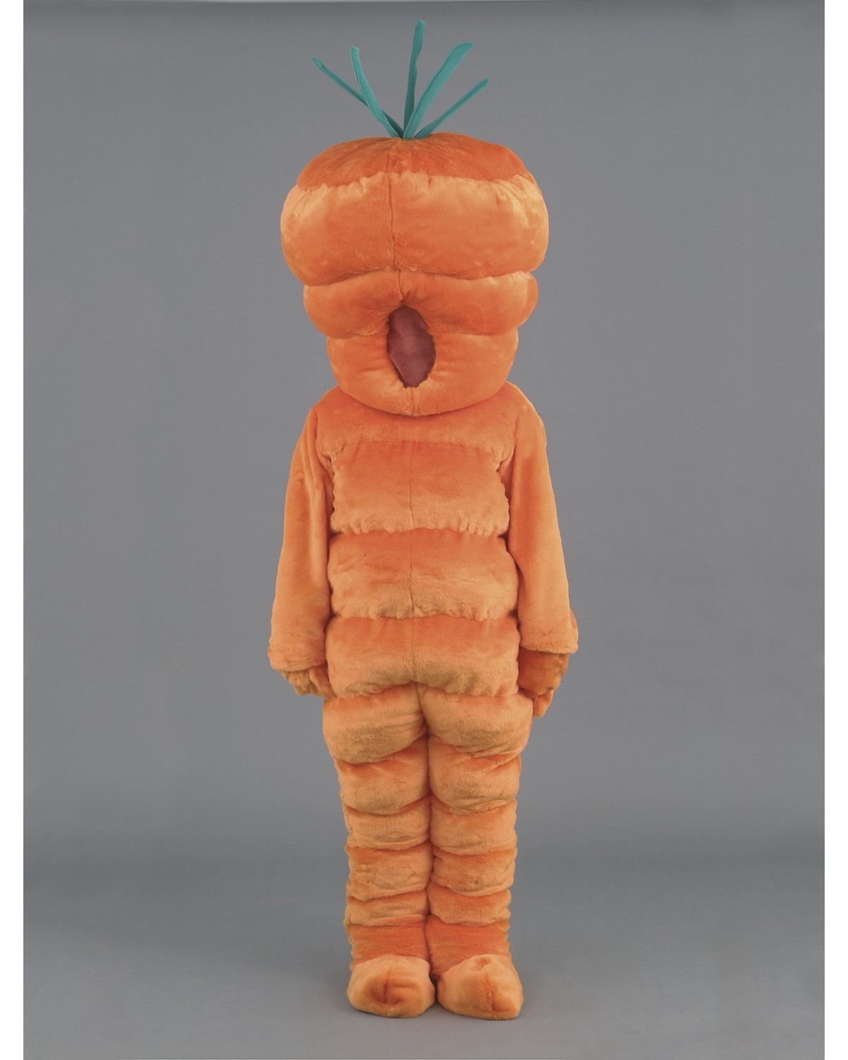 Carrot Mascot Costume