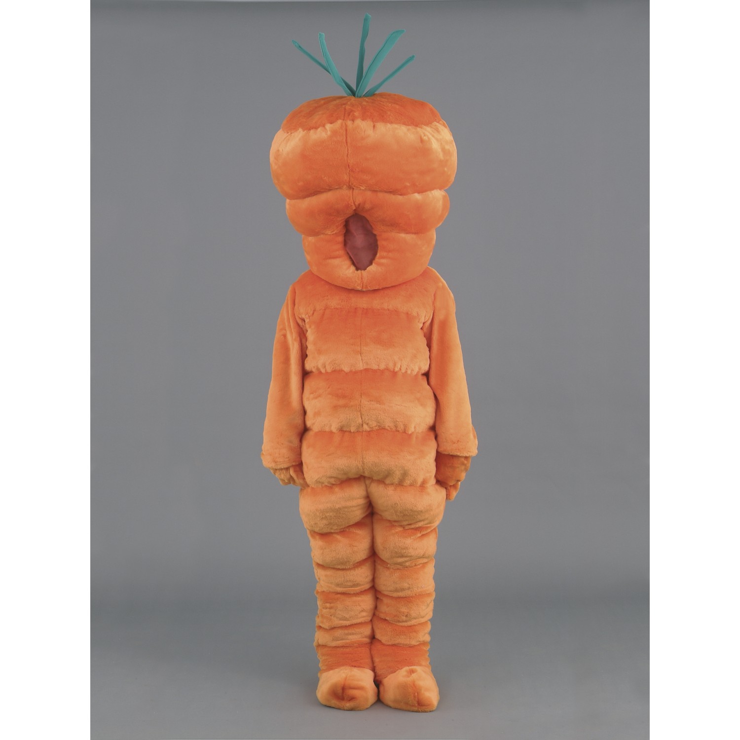 Carrot Mascot Costume
