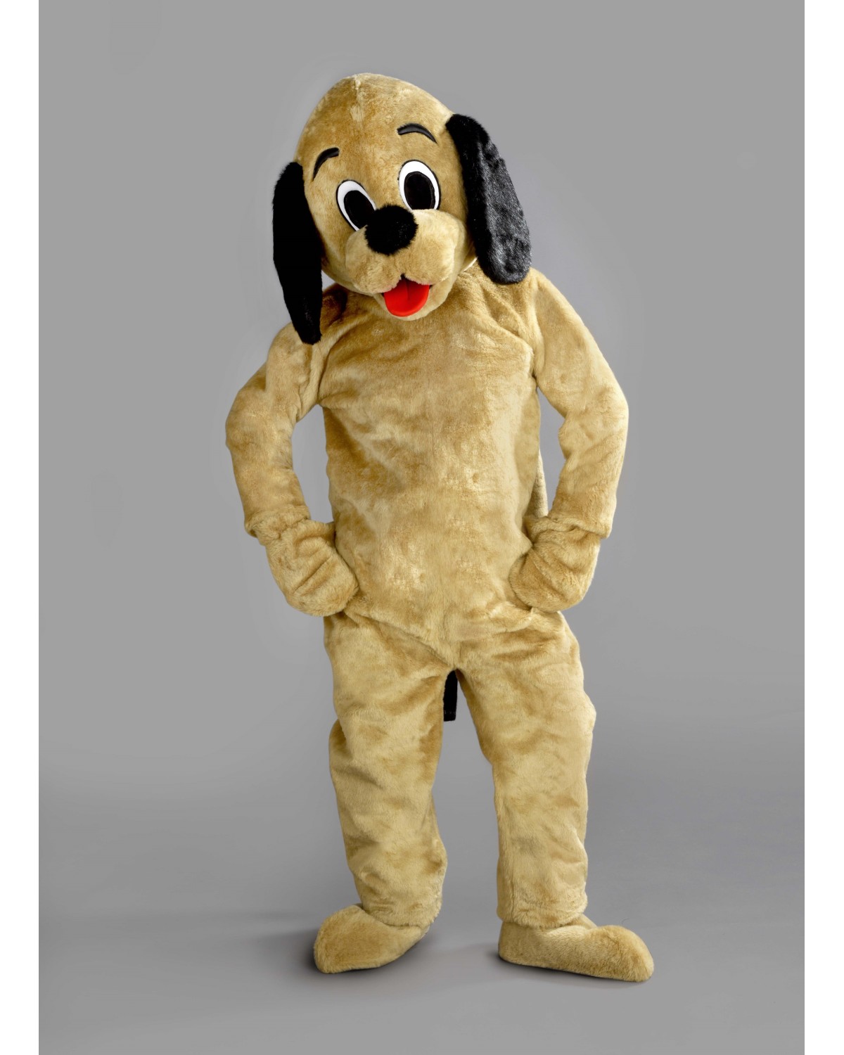 Lightweight Dog Costume