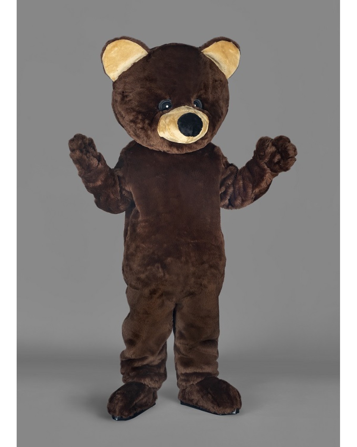 Brownie Bear Mascot costume