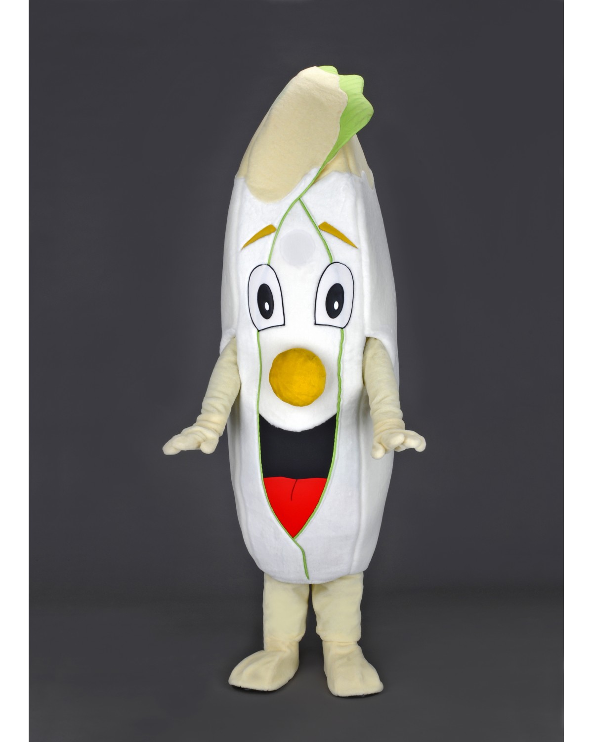 Chicory Salad Mascot Costume