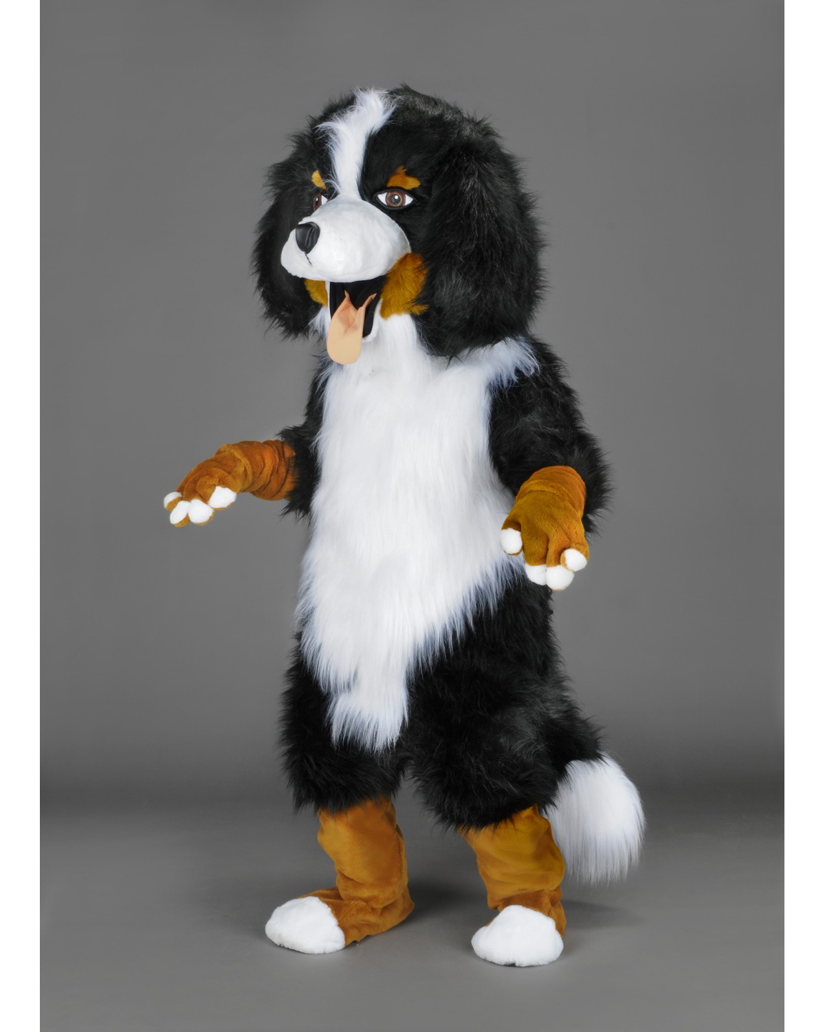 Bernese Mountain Puppy Dog