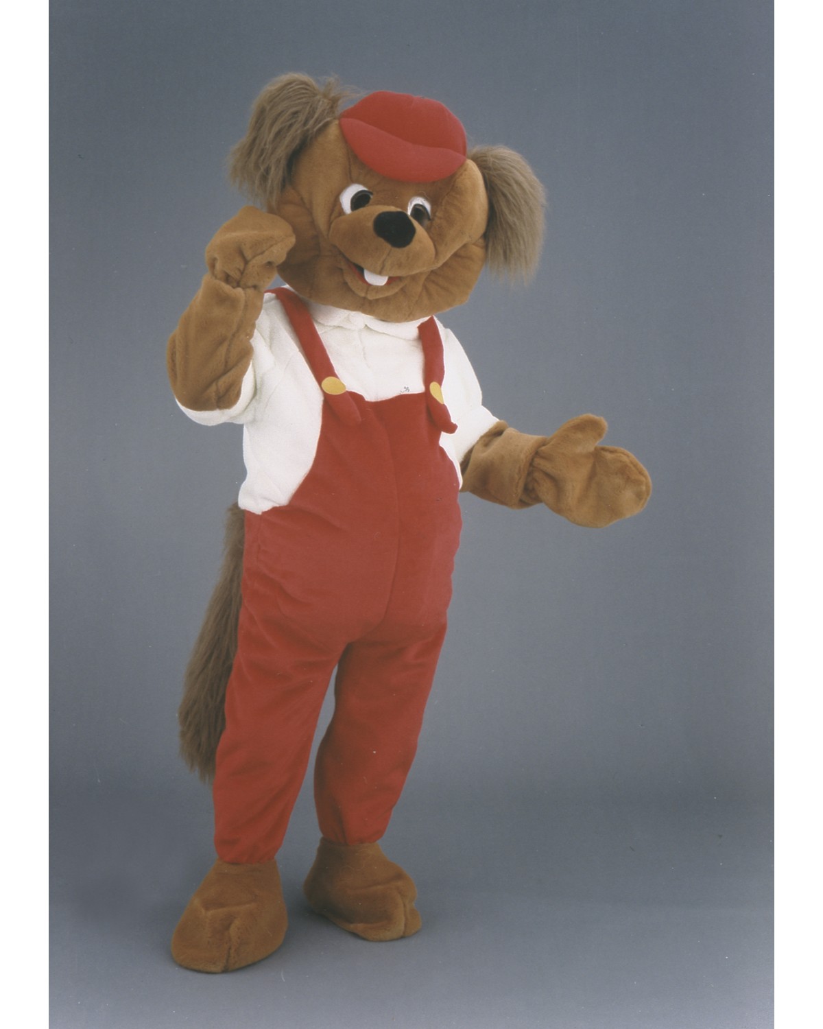 Dougie Dog Mascot Costume