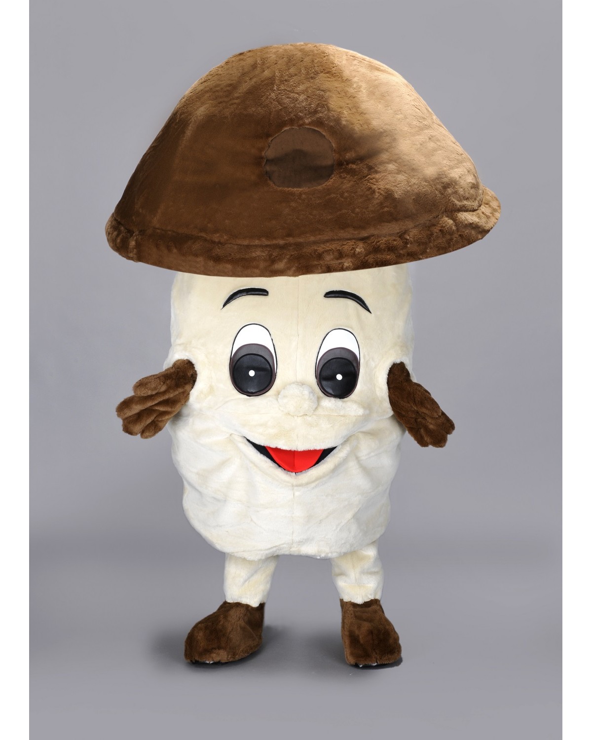 Mushroom Mascot Costume