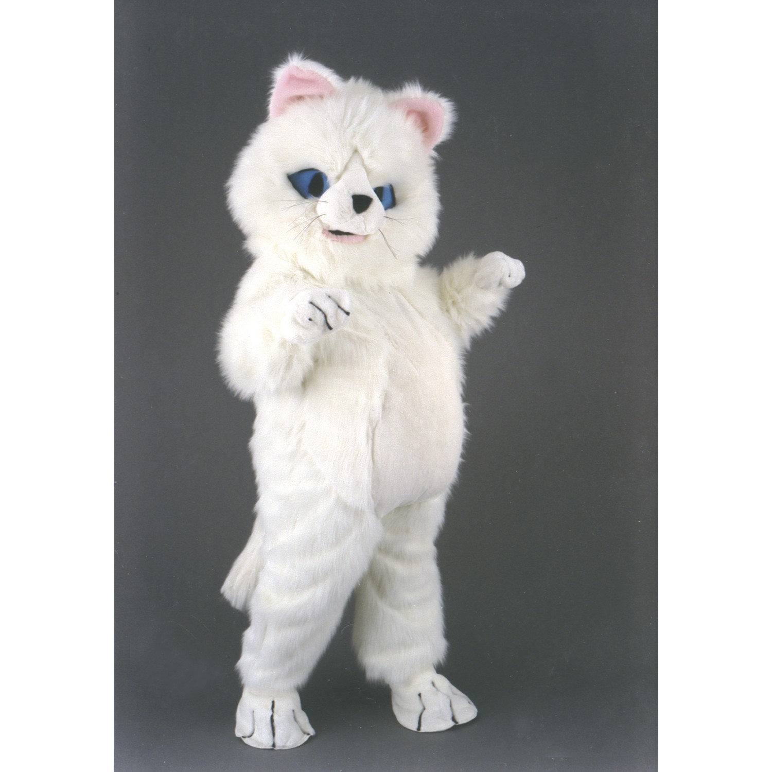 White Cat Costume At Katherine Roosa Blog White Cat Costume At Katherine Roosa Blog