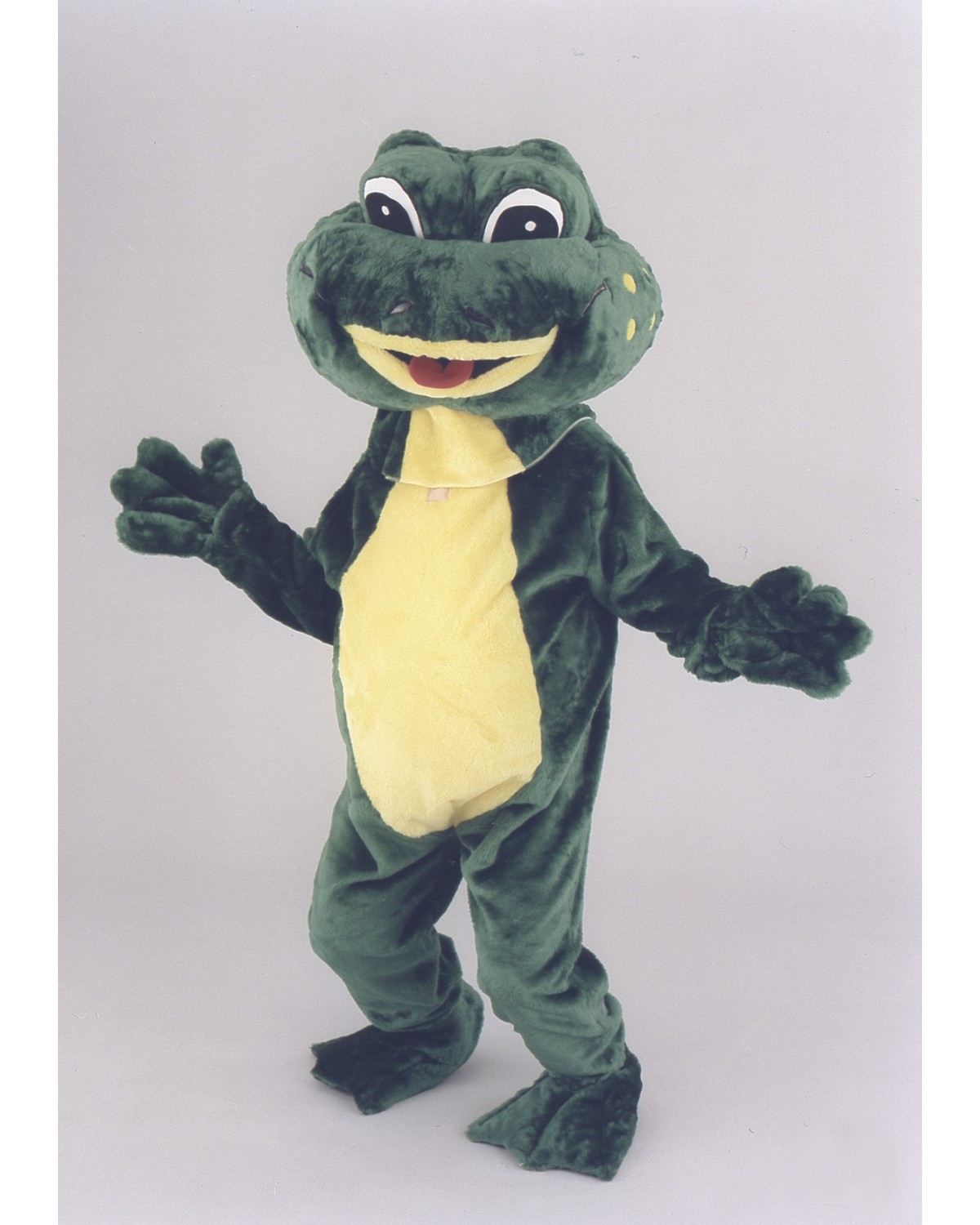 Frankie the Frog Mascot Costume
