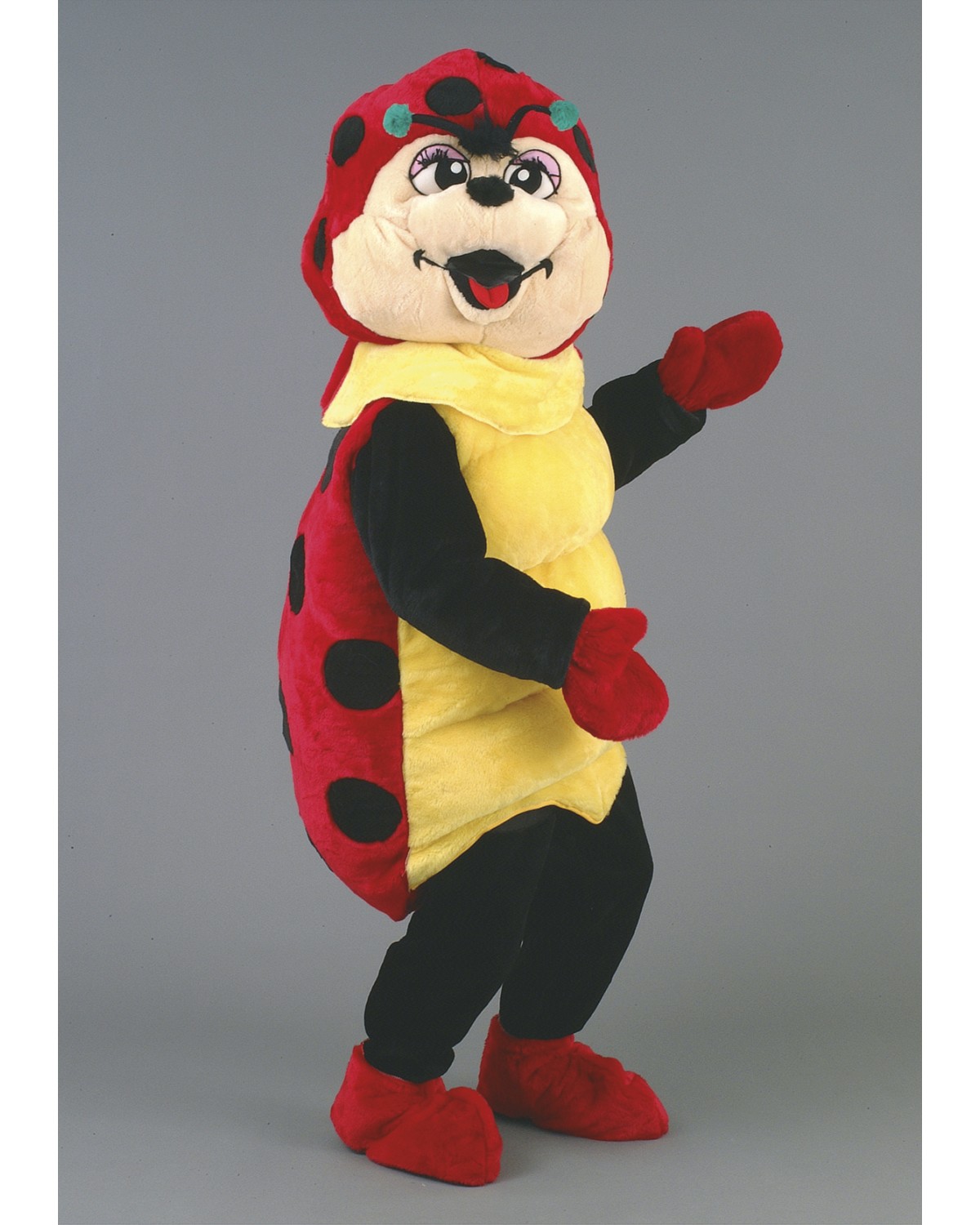 Ladybird Mascot Costume