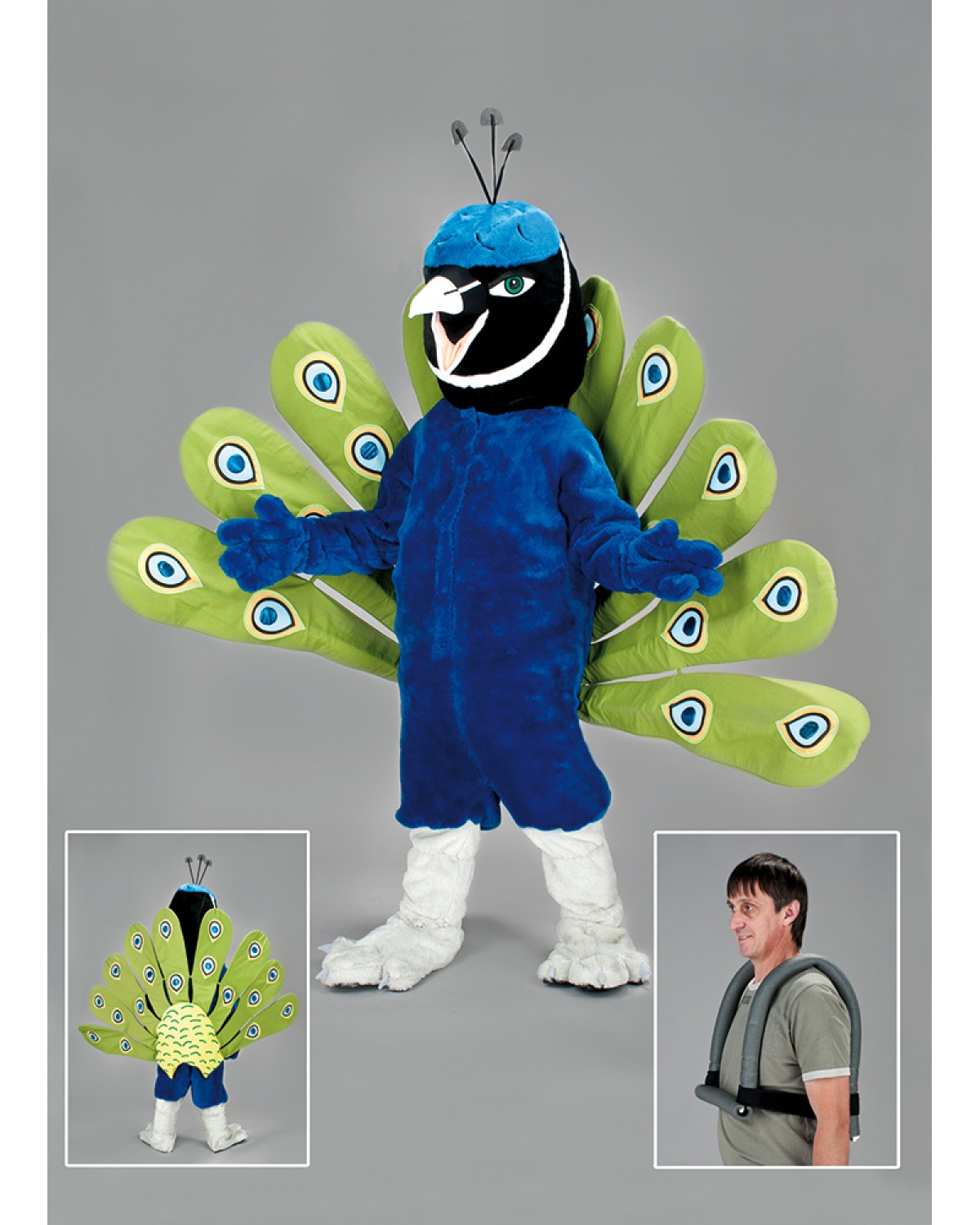 Peacock bird Mascot Costume