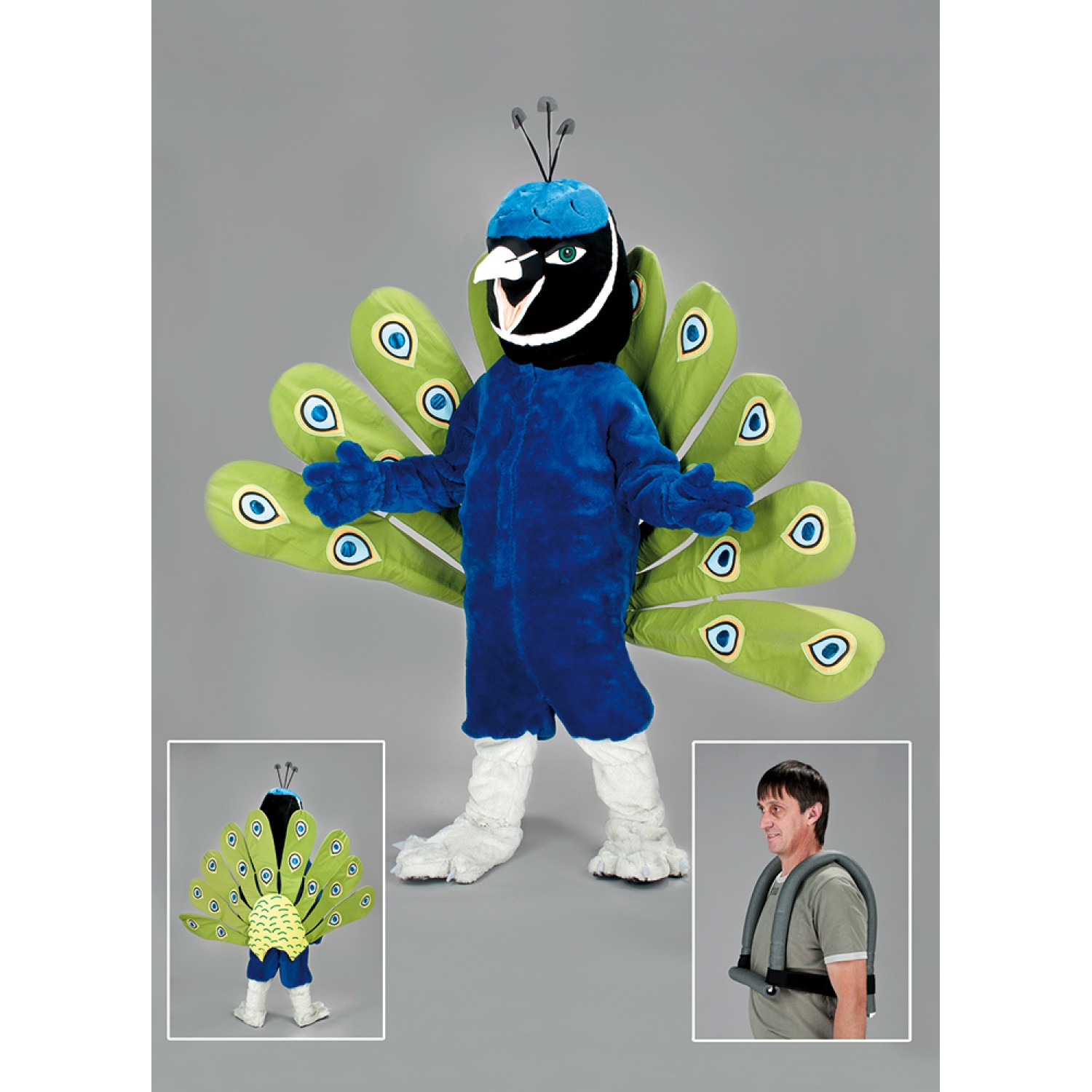Peacock bird Mascot Costume