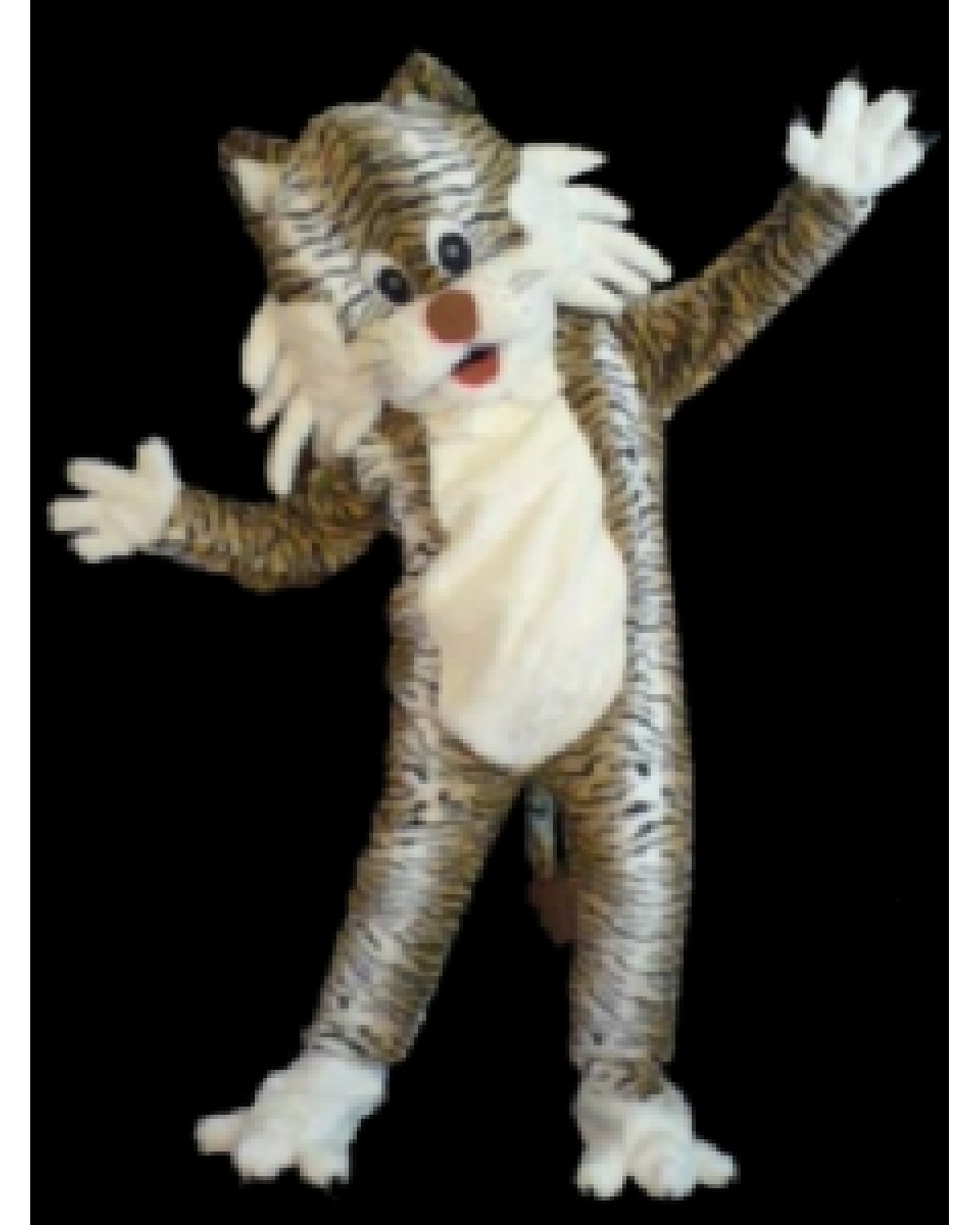 Crazy Tiger Mascot Costume