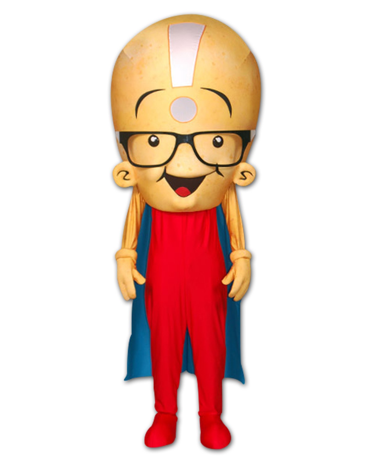 Custom Made Potato Mascot Costume